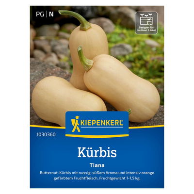 Saatgut, Moschus-Kürbis, Butternut-Kürbis, Kürbis 'Tiana' Saatgut, Moschus-Kürbis, Butternut-Kürbis, Kürbis 'Tiana'