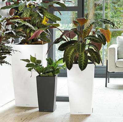 Lechuza 'Cubico 30', schwarz, ca. 29,5 x 29,5 x H 56,5 cm Lechuza 'Cubico 30', schwarz, ca. 29,5 x 29,5 x H 56,5 cm