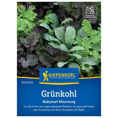Kiepenkerl Saatgut-Mix Grünkohl 'Babyleaf®'
