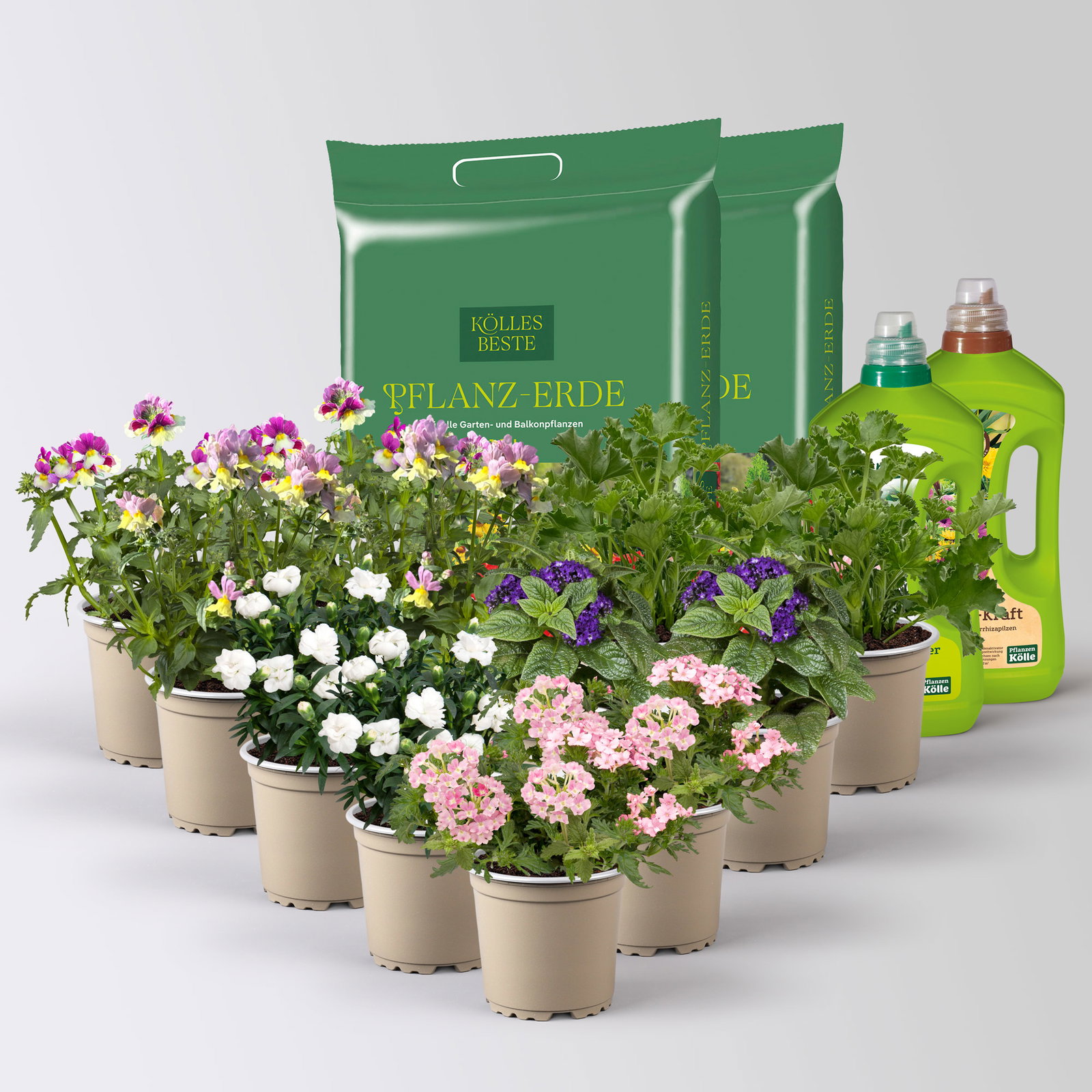 Pflanzenkreation 'Duft', 12 Pflanzen inkl. Erde und Dünger