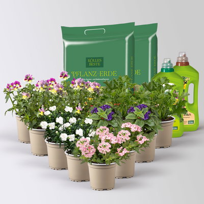 Pflanzenkreation 'Duft', 12 Pflanzen inkl. Erde und Dünger