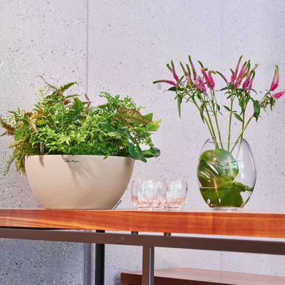 Lechuza 'Cubeto Stone 30', sandbeige, ca. Ø 30 x 13,5 cm Lechuza 'Cubeto Stone 30', sandbeige, ca. Ø 30 x 13,5 cm