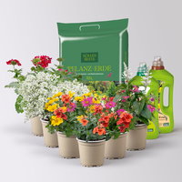 Pflanzenkreation 'Insektenbuffet', bunt, 6 Pflanzen inkl. Erde und Dünger