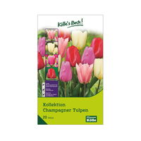 Kollektion 'Champagner-Tulpen', 20 Blumenzwiebeln, Größe 11/12