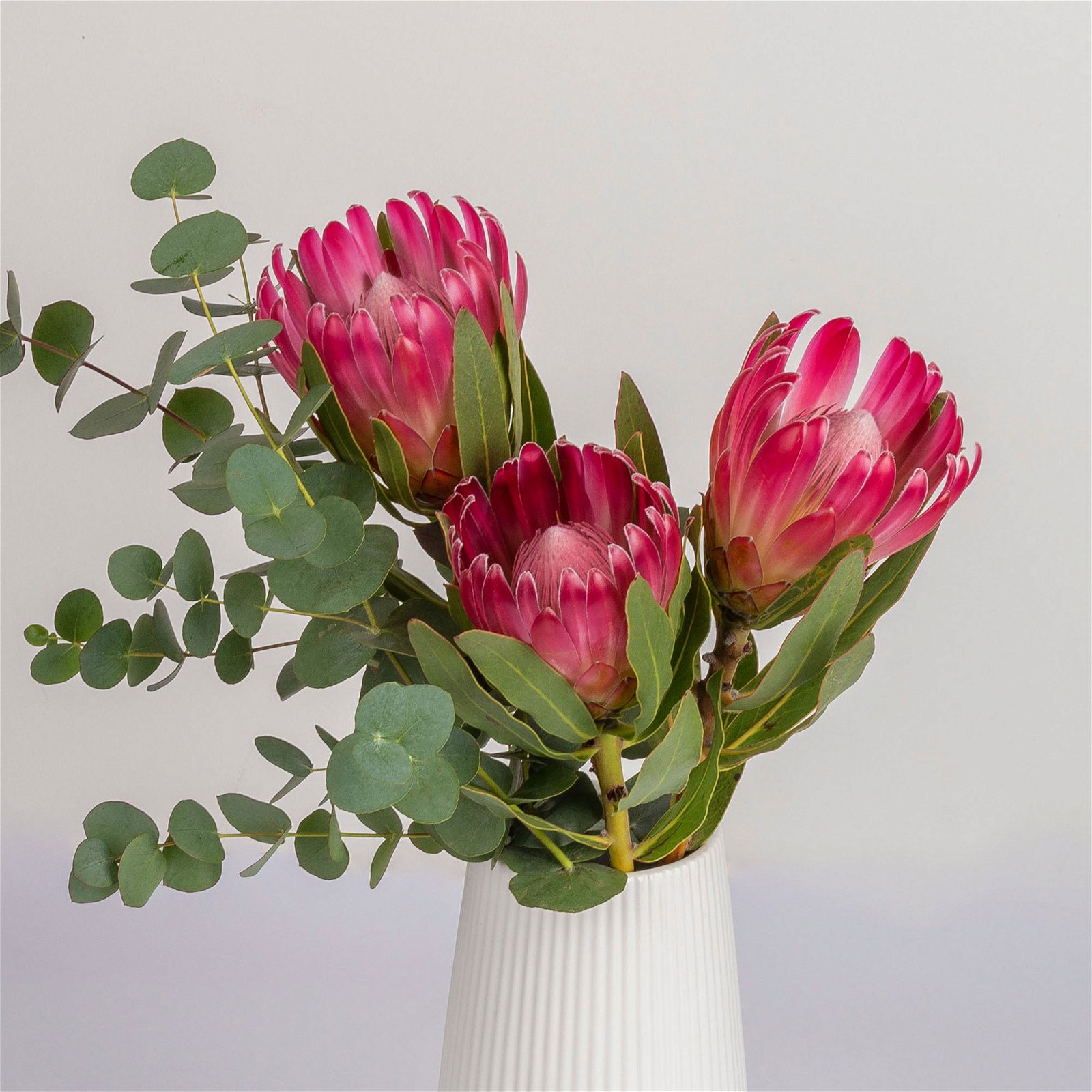 Blumenbund Protea 'Silvia' & Eukalyptus, inkl. gratis Grußkarte
