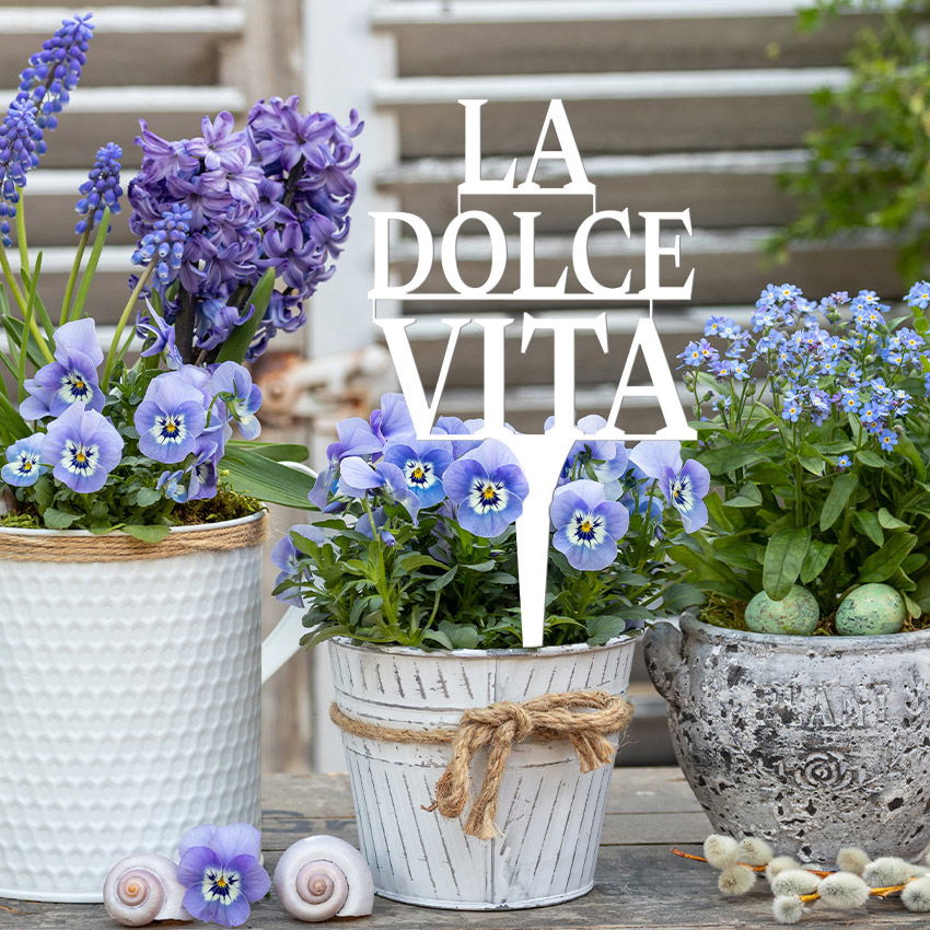 Illumino Blumenstecker 'La Dolce Vita'