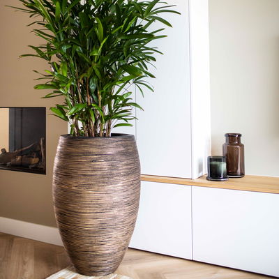 Capi Europe Pflanzvase 'Deluxe', Ø55 x H85 cm