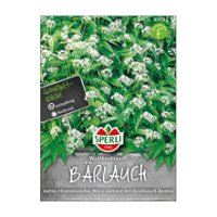 Sperli's Bärlauch, Allium urisnum, Waldknoblauch, würziger Geschmack