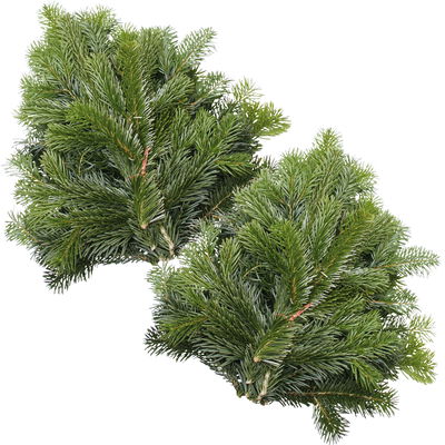 Nordmanntannen-Zweige im Bund, Länge 60-80 cm, ca. 2,5 kg, 2 Bund Nordmanntannen-Zweige im Bund, Länge 60-80 cm, ca. 2,5 kg, 2 Bund