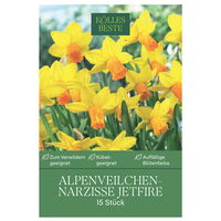 Zwergnarzissen Jetfire gelb-orange, 15 Blumenzwiebeln