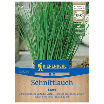 Kräutersamen, BIO-Schnittlauch Kräutersamen, BIO-Schnittlauch