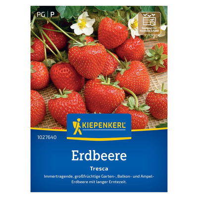 Erdbeersamen, Erdbeeren 'Tresca', rot Erdbeersamen, Erdbeeren 'Tresca', rot