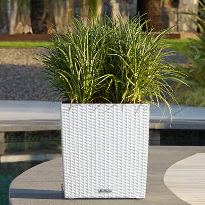 Lechuza 'Cube Cottage 40', weiß, ca. 39 x 39 x H 40 cm Lechuza 'Cube Cottage 40', weiß, ca. 39 x 39 x H 40 cm