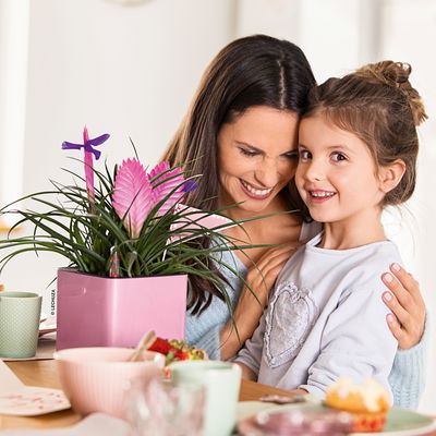 Lechuza 'Cube Glossy Kiss 14', Sweet Candy Highgloss Glitter Lechuza 'Cube Glossy Kiss 14', Sweet Candy Highgloss Glitter