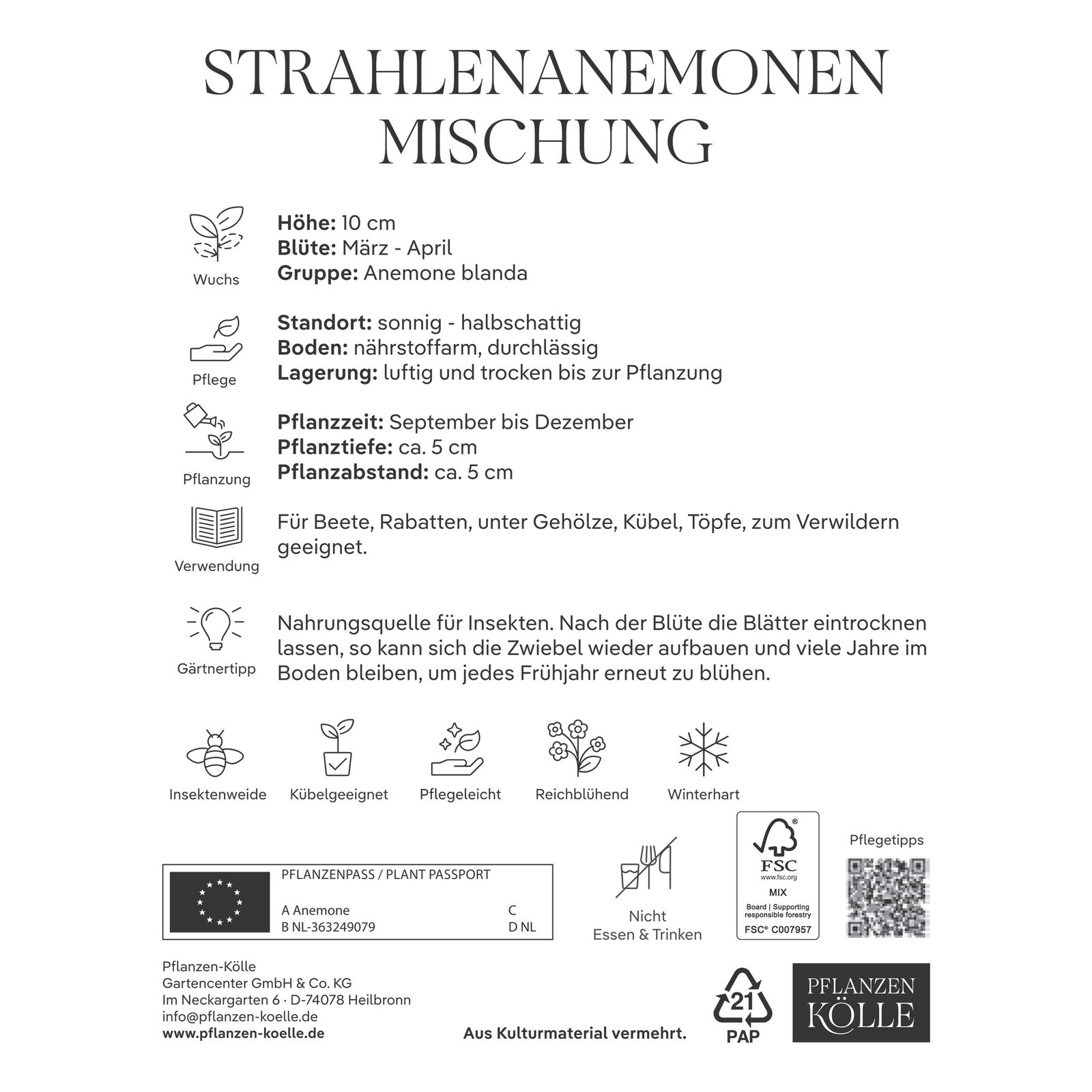 Strahlen-Anemonen Blanda, Größe 5+, 15 Blumenzwiebeln Strahlen-Anemonen Blanda, Größe 5+, 15 Blumenzwiebeln