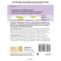 Thompson & Morgan Wildblume Schachbrettblume (Fritillaria), rosa, lila, creme