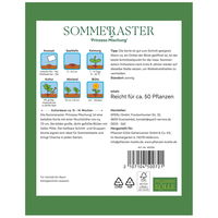 Kölles Beste Blumensamen, Sommeraster 'Prinzess Mischung'