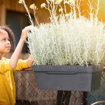Pflanzkasten 'Like', grau Pflanzkasten 'Like', grau