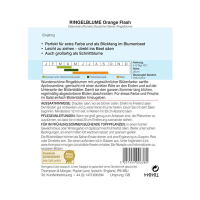 Ringelblume „Orange Flash“ (Calendula officinalis) Ringelblume „Orange Flash“ (Calendula officinalis)