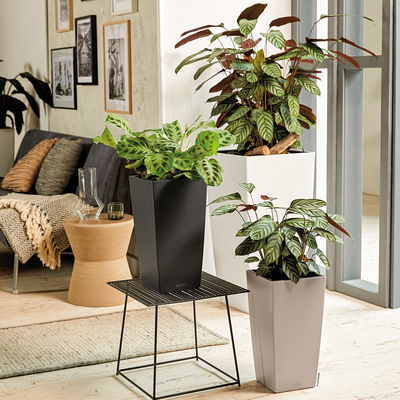 Lechuza 'Cubico Color 30', sandbraun, ca. 29,5 x 29,5 x H 56,5 cm Lechuza 'Cubico Color 30', sandbraun, ca. 29,5 x 29,5 x H 56,5 cm