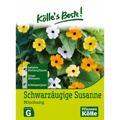 Kölles Beste Blumensamen Schwarzäugige Susanne Mischung (Thunbergia) Kölles Beste Blumensamen Schwarzäugige Susanne Mischung (Thunbergia)