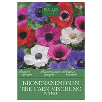 Kölles Beste Kronenanemonen The Caen Mischung, 10 Blumenknollen