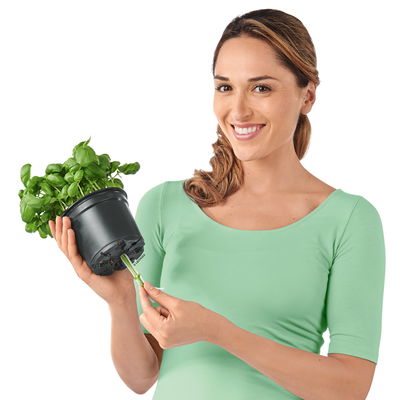 Lechuza 'Cube Color Triple', schiefergrau, ca. 40 x 14 x H 13,5 cm Lechuza 'Cube Color Triple', schiefergrau, ca. 40 x 14 x H 13,5 cm