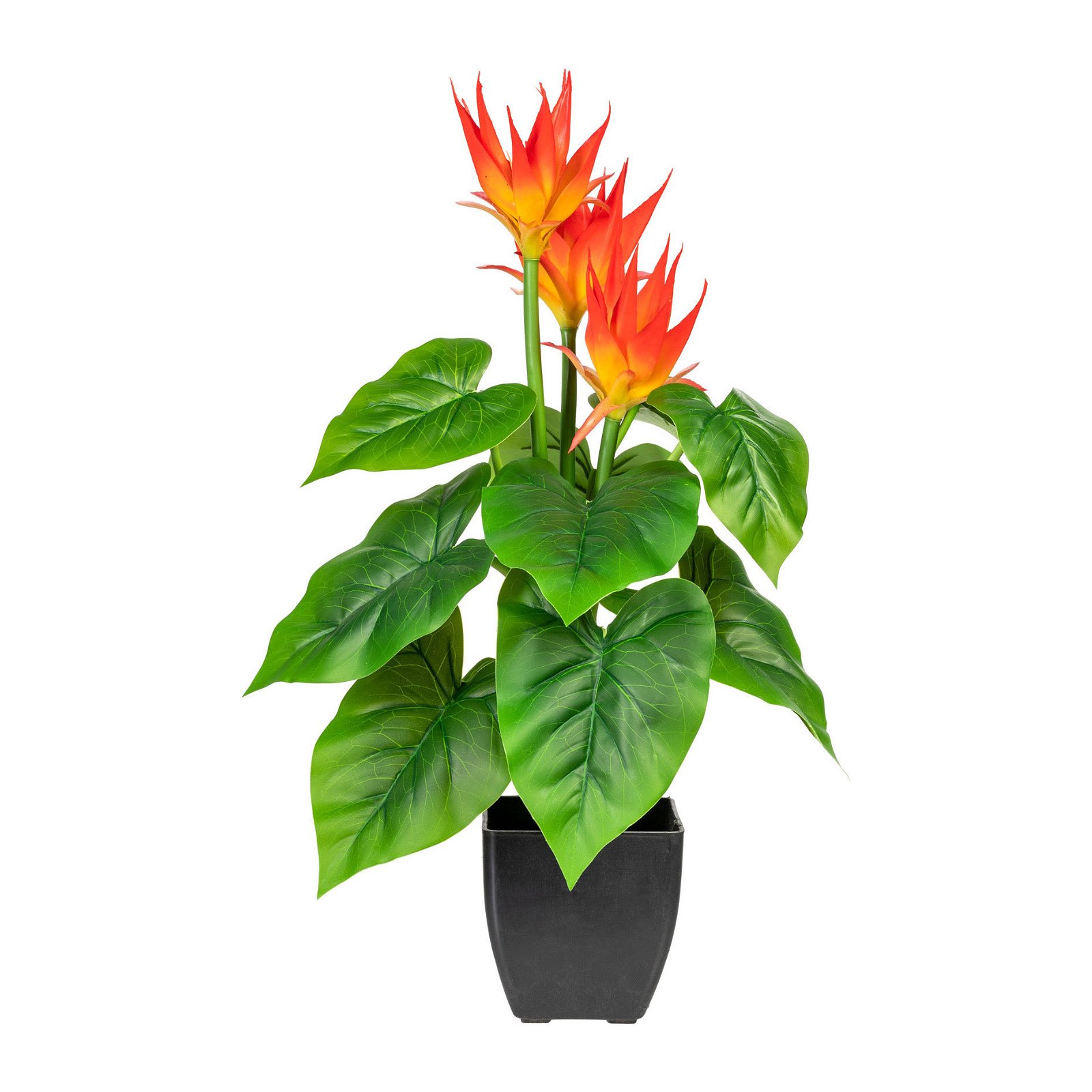 Kunstpflanze Guzmania, orange, Höhe ca. 58 cm
