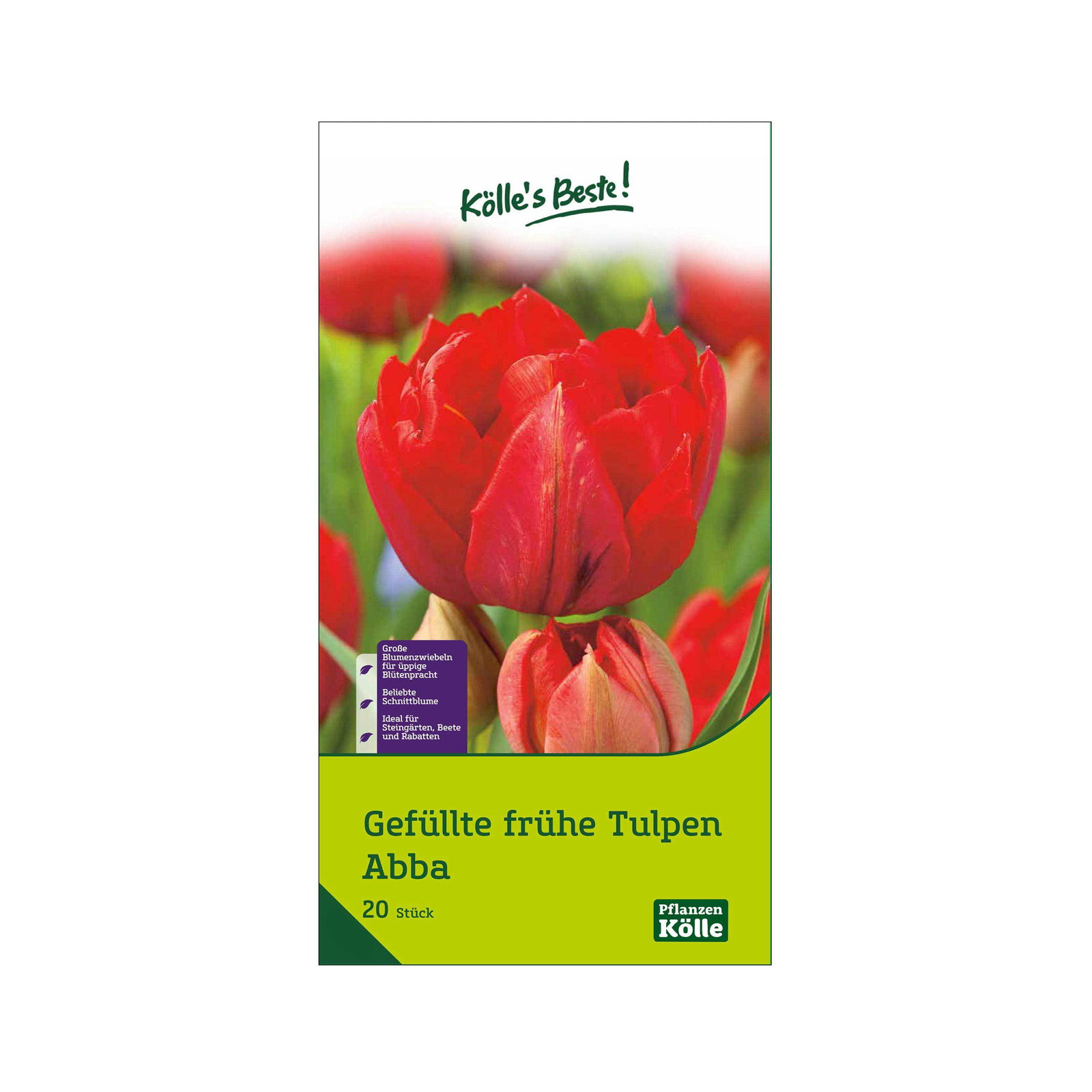 Gefüllte frühe Tulpen Abba rot, ca. 20 Blumenzwiebeln