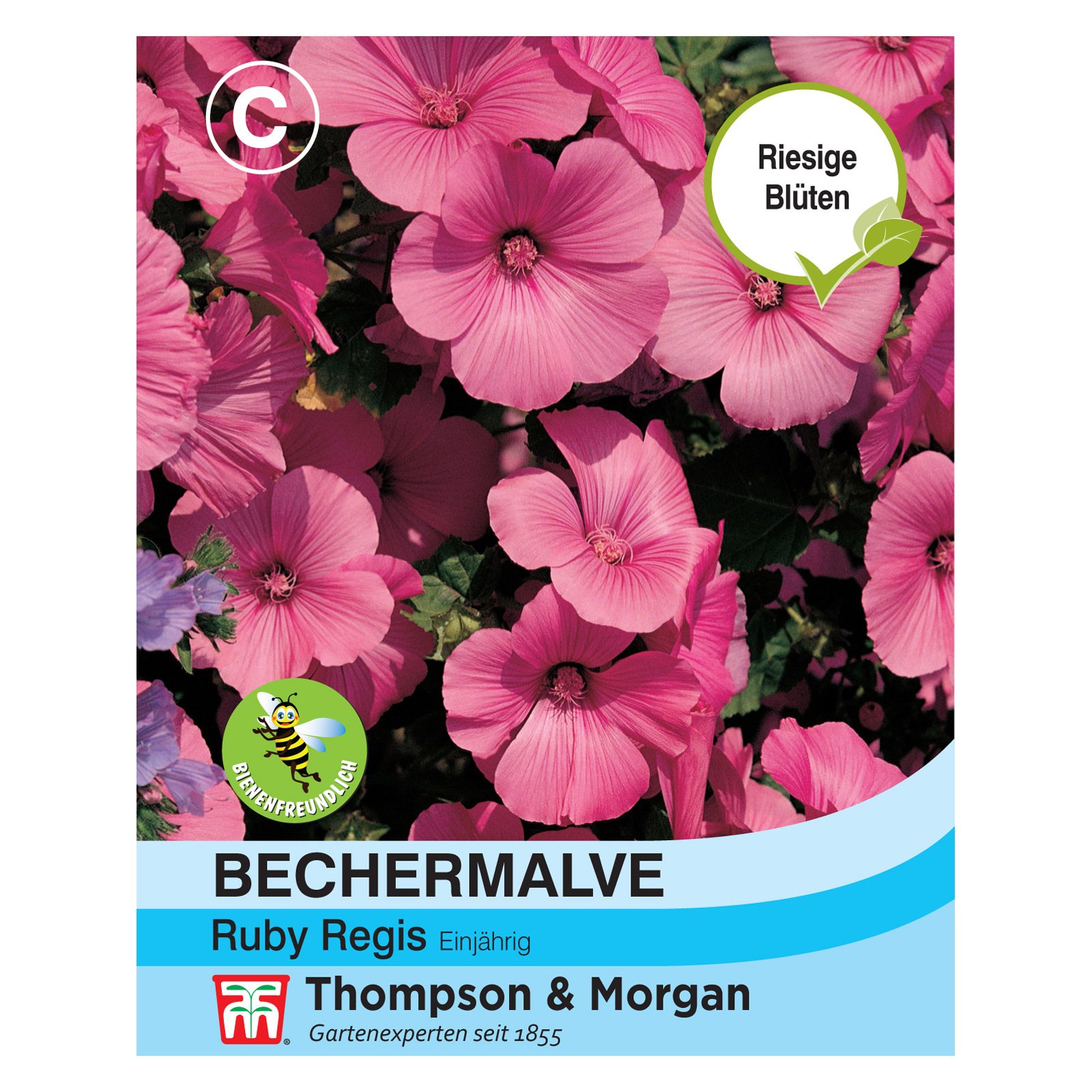 Blumensamen, Bechermalve 'Ruby Regis', rosa, 70 Stück