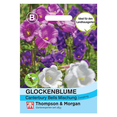 Thompson & Morgan Blumensamen Marienglockenblume Canterbury Bells Mischung