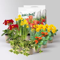 Pflanzenkreation Frühlingskick, 12 Pflanzen inkl. Erde