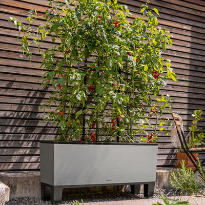 Lechuza 'Trio Stone 40', steingrau, ca. 129,5 x 42 x H 44 cm