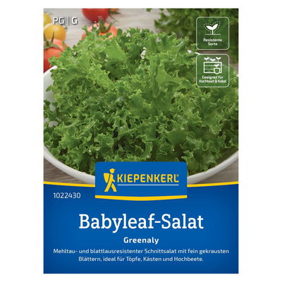 Saatgut, Schnittsalat 'Greenlay' Saatgut, Schnittsalat 'Greenlay'