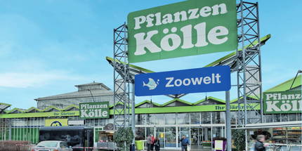 35+ Pflanzen Kölle Dahlwitz Hoppegarten, Pflanzen kölle
