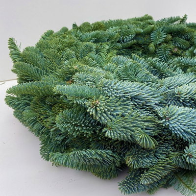 Adventskranz, Nobilistanne, rund gebunden, ca. 50 cm Ø Adventskranz, Nobilistanne, rund gebunden, ca. 50 cm Ø