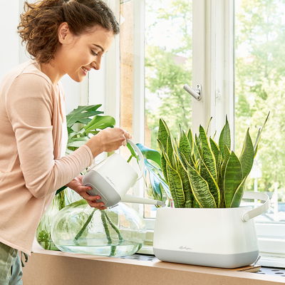 Lechuza 'Yula' Gießkanne, weiß/grau seidenmatt, 1,7 Liter
