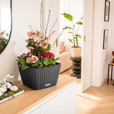 Lechuza 'Bacino Cottage', granit, ca. 30 x 30 x H 18 cm Lechuza 'Bacino Cottage', granit, ca. 30 x 30 x H 18 cm