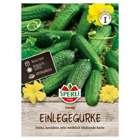 Sperli Saatgut Einlegegurke 'Conny', grün