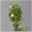 Duftende Beetrose 'Die Rose Ihrer Majestät'® (Beainesza), weiss, Topf 7,5 Liter