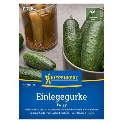 Einlegegurke 'Twigy', grün, ca. 30 Gemüsesamen Einlegegurke 'Twigy', grün, ca. 30 Gemüsesamen