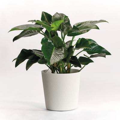 Euro 3 Plast Pflanzgefäß 'Fyre', weiß, ca. Ø 40 x H 39 cm