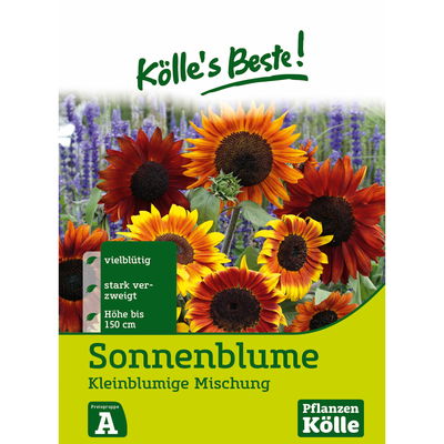 Kölles Beste Blumensamen Sonnenblumen Kleinblumige Mischung (Helianthus) Kölles Beste Blumensamen Sonnenblumen Kleinblumige Mischung (Helianthus)