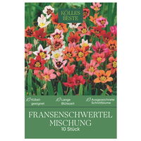 Kölles Beste Blumenzwiebeln, Fransenschwertel 'Mischung'