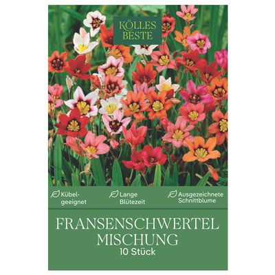 Kölles Beste Blumenzwiebeln, Fransenschwertel 'Mischung'