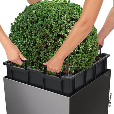 Lechuza 'Cube 50', scarlet-rot, ca. 49 x 49 x H 49,5 cm