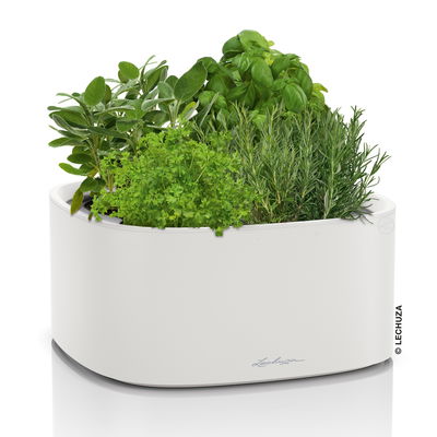 Lechuza 'Pila Color', lichtgrau, ca. 35 x 35 x H 16,5 cm Lechuza 'Pila Color', lichtgrau, ca. 35 x 35 x H 16,5 cm