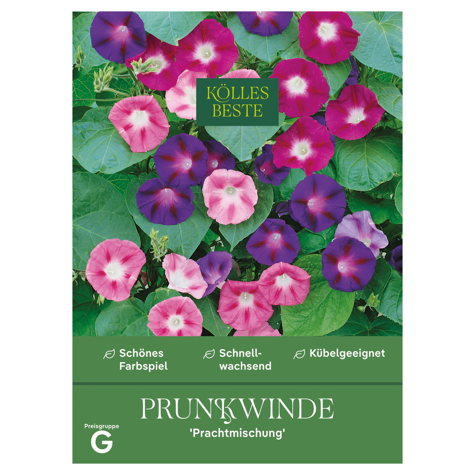 Kölles Beste Saatgutmischung Prunkwinde, bunt Kölles Beste Saatgutmischung Prunkwinde, bunt