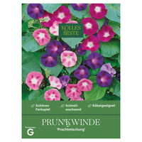 Kölles Beste Saatgutmischung Prunkwinde, bunt Kölles Beste Saatgutmischung Prunkwinde, bunt