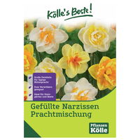 Gefüllte Narzissen Prachtmischung, 10 Blumenzwiebeln